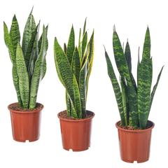 Producto IKEA, ha sido reportado por IKEA Gent con iLost