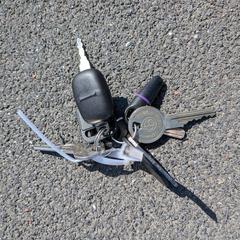 Keys, ha sido reportado a iLost