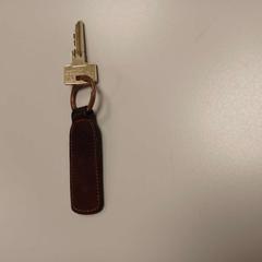 Schlüssel, gemeldet von Padualaan 101 über iLost