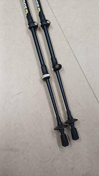Walking sticks