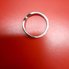 Ring, zoals gemeld door UvA REC met iLost
