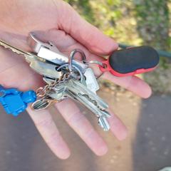 Sleutelbos, jak bylo nahlášeno na iLost