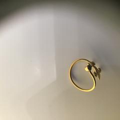 Ring, amint azt Rijksmuseum az iLost segítségével jelentette.