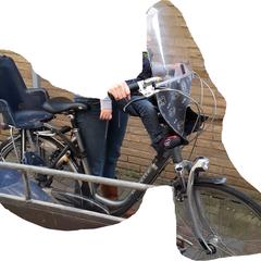 Gazelle Lausanne Goldline