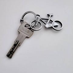 Llave de casa, ha sido reportado por Gemeente Puurs-Sint-Amands con iLost