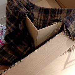 Bufanda Marron / Noir à carreaux, segons ha informat IKEA Paris - Rivoli mitjançant iLost