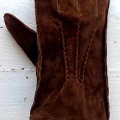 Luva Bruinen, segundo informou DierenPark Amersfoort usando iLost