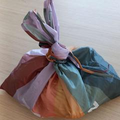 Bag, as reported by Arriva West-Brabant using iLost