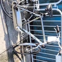 Bicicleta de hombre Gazelle, ha sido reportado por Stadswerk072 con iLost