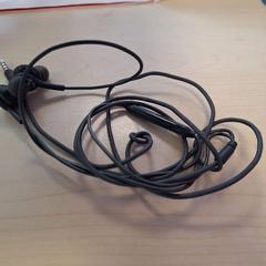 سماعة الأذن zwart، كما تم الإبلاغ عنه بواسطة Alrijne Leiderdorp عبر iLost