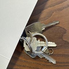 Sleutelbos, som rapportert til iLost