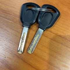 İLost kullanarak Arriva Achterhoek-Rivierenland tarafından bildirildiği gibi Anahtar