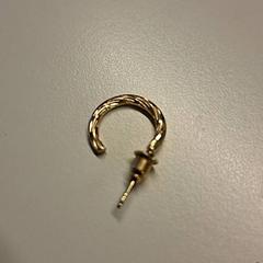 Earring, as reported by Ziekenhuis Oost-Limburg using iLost