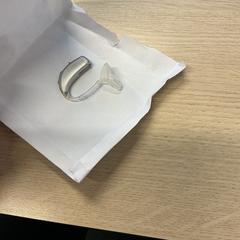 Oortje, segons ha informat Gemeente Arnhem mitjançant iLost