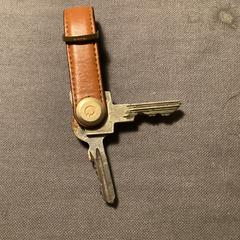 Sleutelbos, som rapporterats till iLost