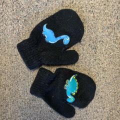 Rękawice, zgłoszono przez Burgers' Zoo przy użyciu iLost