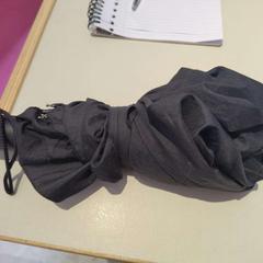 Dáždnik inklap zwart merkloos, ako bolo nahlásené Het Noordbrabants Museum pomocou iLost