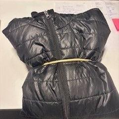 Kurtka, zgłoszono przez Cursus en vergadercentrum Domstad przy użyciu iLost