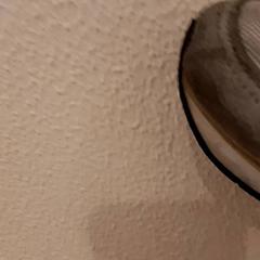 Sabata, segons ha informat De Efteling mitjançant iLost