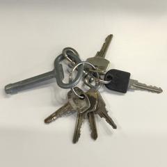 Sleutelbos, zoals gemeld door Gemeente Weert met iLost
