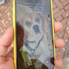 iPhone met groen hoesje がiLostに報告されました