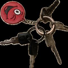 Bosje sleutels, ako bolo nahlásené iLost