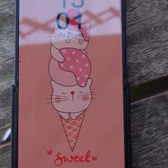 Smart phone, segons s'ha informat a iLost