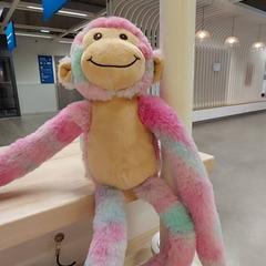 لعبة محبوبة & صفعة محبوبة Singe doudou Rose bleu، كما تم الإبلاغ عنه بواسطة IKEA Nantes عبر iLost