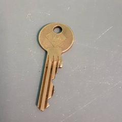 Kľúč, ako bolo nahlásené Diergaarde Blijdorp pomocou iLost