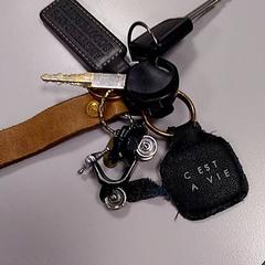 Chaves Zwart, segundo informou Vrije Universiteit Amsterdam usando iLost