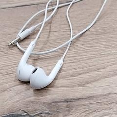 Earphones, como reportado por Arriva Limburg Zuid utilizando o iLost