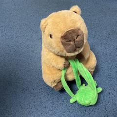 Knuffel, como reportado por Breng Arnhem utilizando o iLost