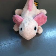 Peluche, ha sido reportado por Diergaarde Blijdorp con iLost