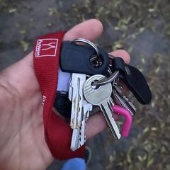 Sleutelbos, come riportato a iLost