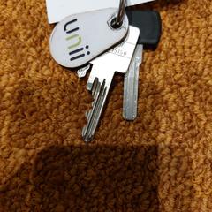 Sleutelbos, a été signalé par RRReis Trein Amersfoort / Ede-Wageningen utilisant iLost