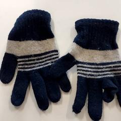 Handschoenen donkerblauw-beige, gemeldet von Centraal magazijn über iLost