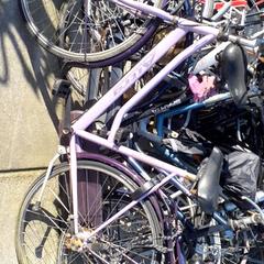 Emakumeen bizikleta Altra Paars, gisa salatu by Stadswerk072 iLost erabiliz