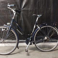 Kolo, jak nahlášeno Gemeente Nijkerk pomocí iLost