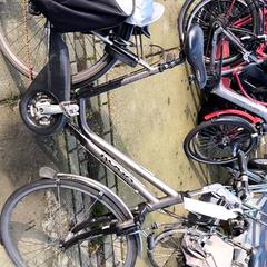 Damcykel Koga, rapporterat av Stadswerk072 med iLost