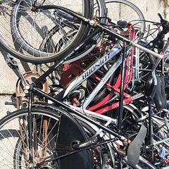 Dámsky bicykel gazelle Zwart, ako bolo nahlásené Stadswerk072 pomocou iLost