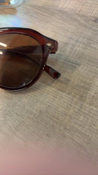 Sunglasses Bruin