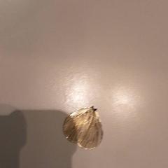 Šperky Goud, jak nahlášeno LUMC pomocí iLost