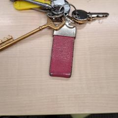 İLost kullanarak IKEA Dijon tarafından bildirildiği gibi Anahtar Jeu de clés 🔑