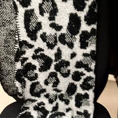 Sjal Zwart wit, som rapportert av Qbuzz GD Groningen Peizerweg ved bruk av iLost