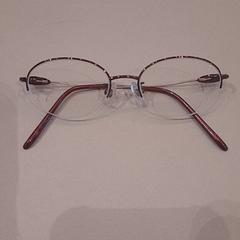 Glasses Red, as reported by Van der Valk Hotel Schiphol using iLost