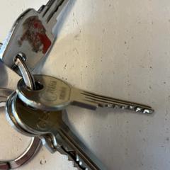 열쇠, iLost를 사용하여 GVB에 보고됨