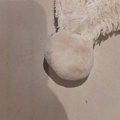 Knuffel, as reported by De Efteling using iLost