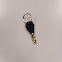 Kľúč od bicykla Zwart, ako bolo nahlásené Vrije Universiteit Amsterdam pomocou iLost