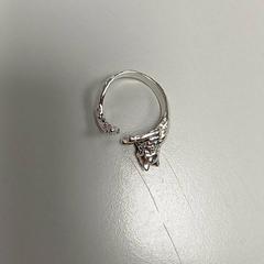 반지, iLost를 사용하여 Padualaan 101에 보고됨