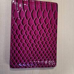 Kartenhalter & Brieftasche Hilstra, gemeldet von Connexxion Haarlem IJmond über iLost